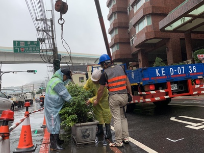 五股區成泰路四段的龍形天廈社區強占公有地並設花圃為路障