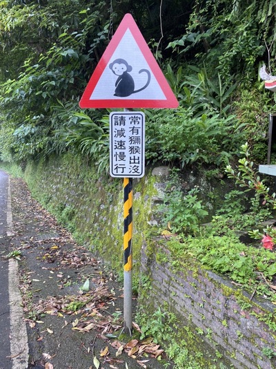 石碇山區設置了「當心獼猴」